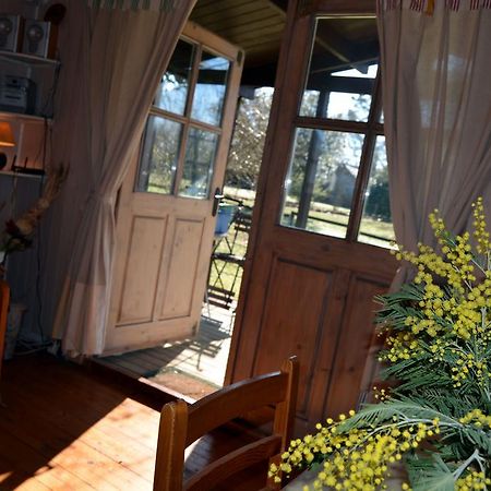 Gite Foret Landaise Sainte-Eulalie-en-Born Exterior photo